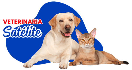 Veterinaria Satélite en Ventanilla