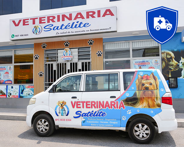 Movilidad veterinaria - Delivery