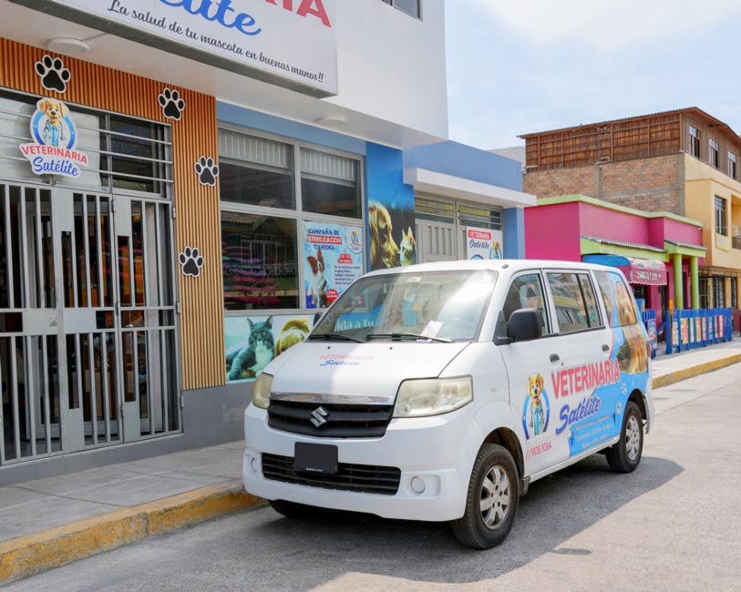 Instalaciones de la veterinaria Satélite