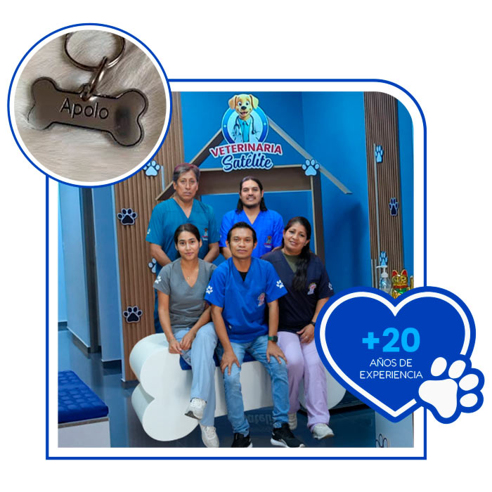 equipo de veterinaria Satélite 