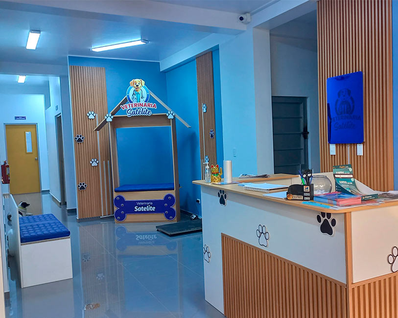 Instalaciones de la veterinaria Satélite