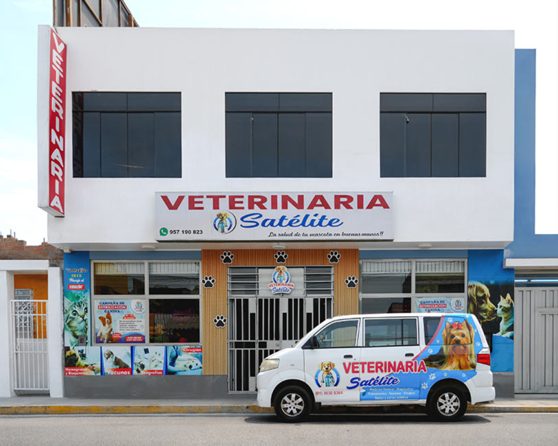 local veterinaria Satelite